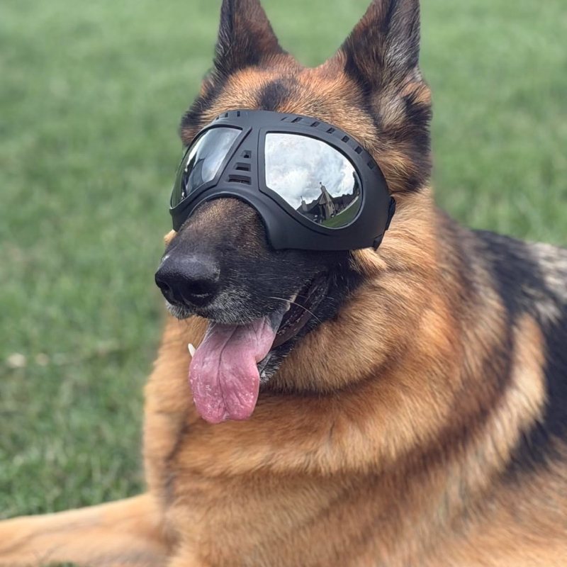 Pet Glasses for Medium Large-s - đánh giá và giá Snow Goggle Uv