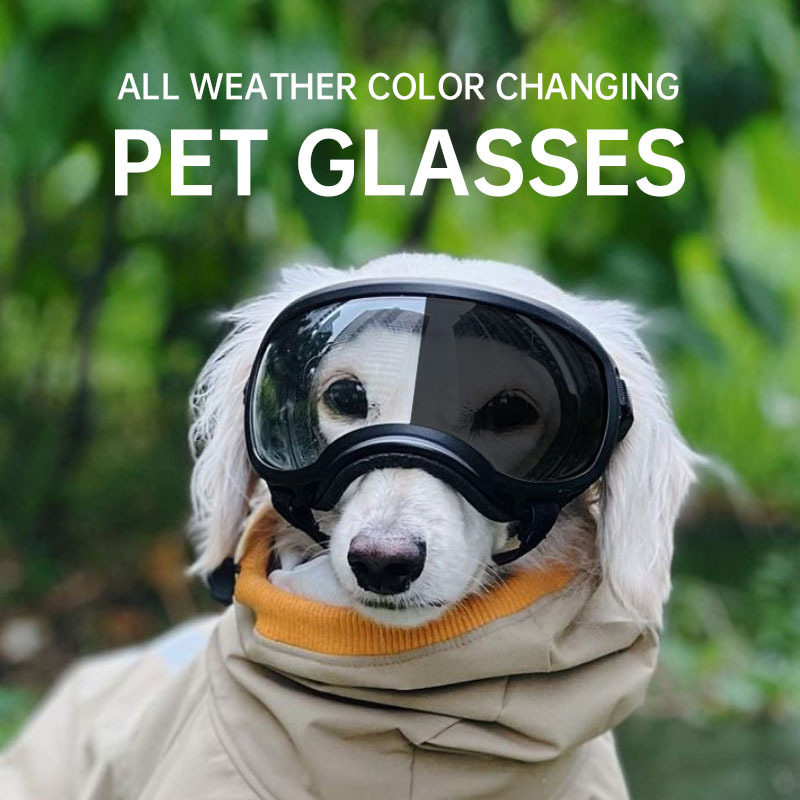 2026 Color changing pet glasse - đánh giá và giá Snow Goggle Uv