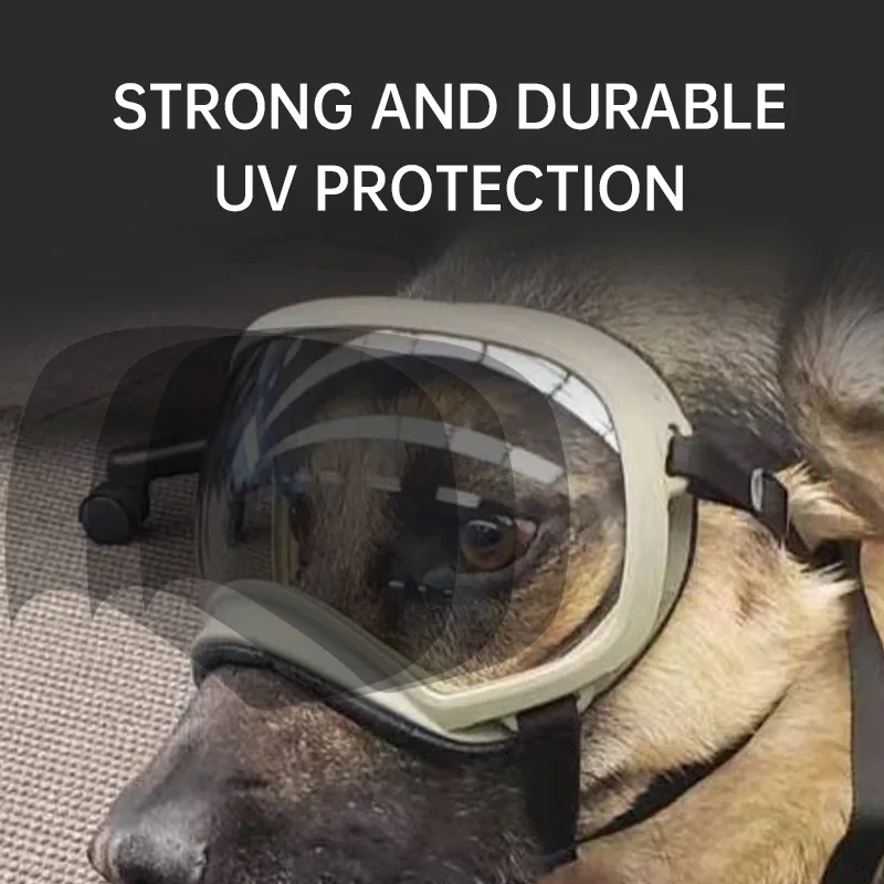 2026 Color changing pet glasse - đánh giá và giá Snow Goggle Uv