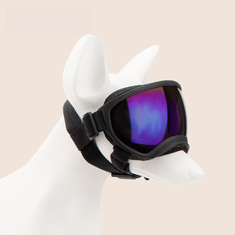 Dog Goggles Outdoor Skiing Win - đánh giá và giá Snow Goggle Uv