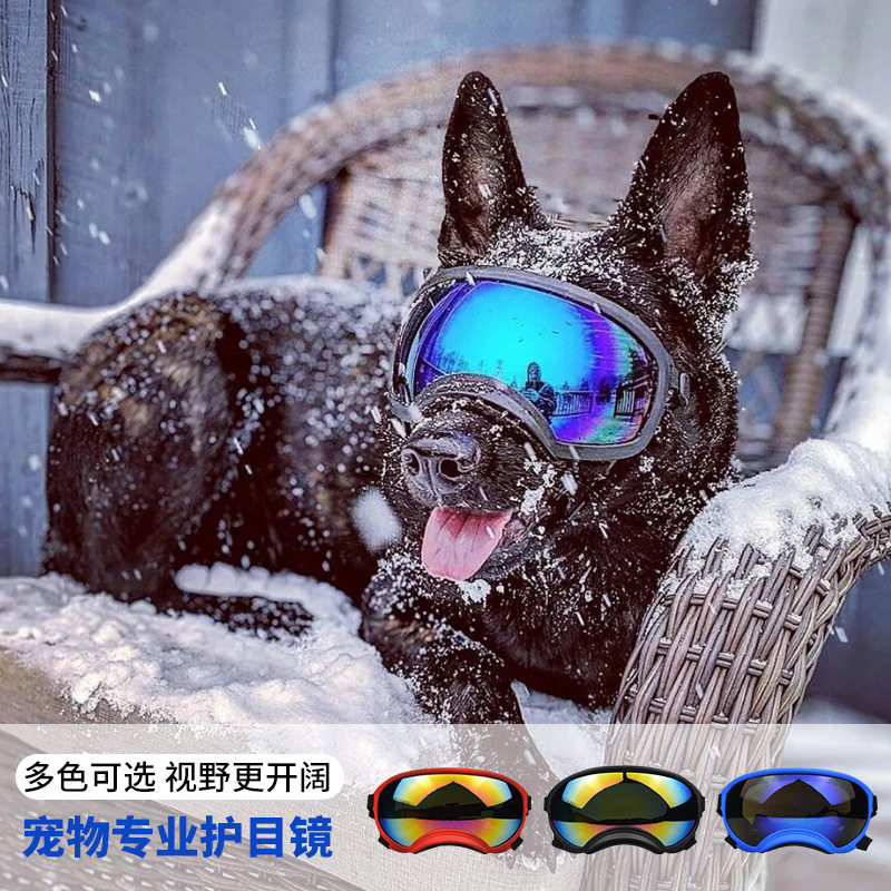 Dog Goggles Outdoor Skiing Win - đánh giá và giá Snow Goggle Uv