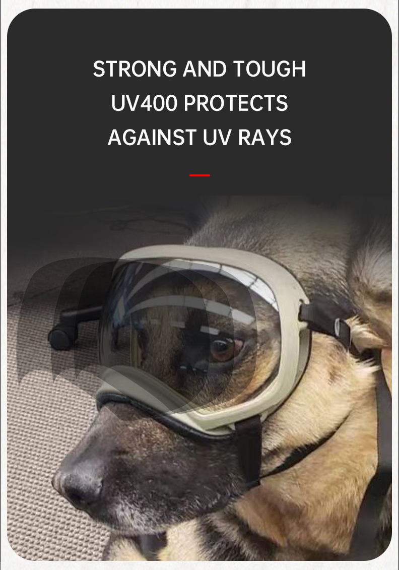 Color changing pet glasses dog - đánh giá và giá Snow Goggle Uv