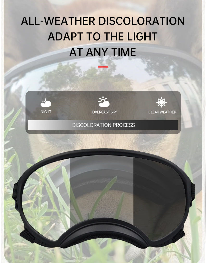 Color changing pet glasses dog - đánh giá và giá Snow Goggle Uv