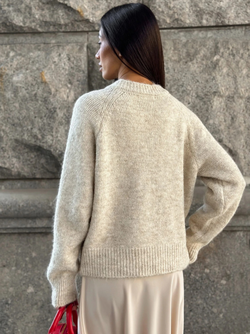 DGLUKE Crew Neck Knit Cardigan - đánh giá và giá Winter Clothing Zara